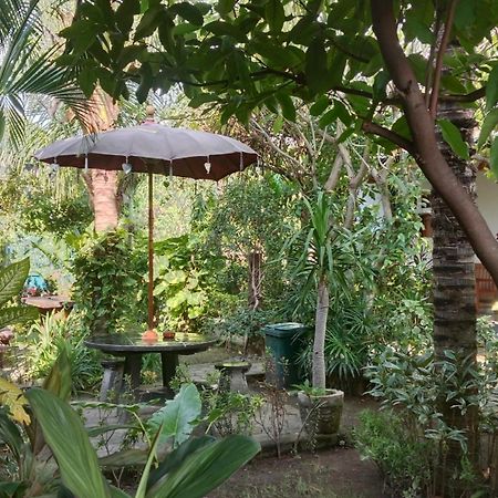 Van Santri Homestay Pemuteran Екстериор снимка
