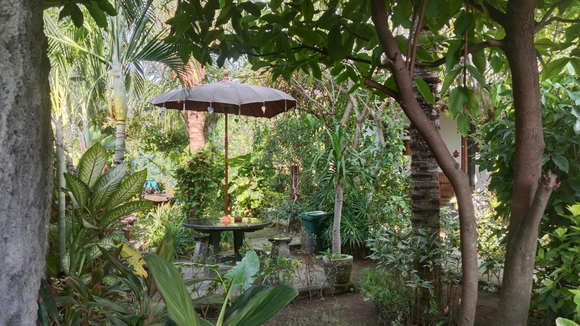 Van Santri Homestay Pemuteran Екстериор снимка